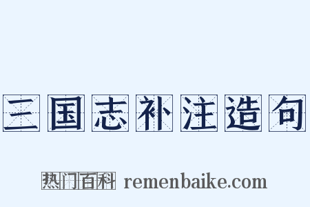 三国志补注造句是什么意思的图片